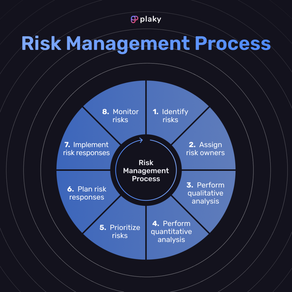 Risk Management Process